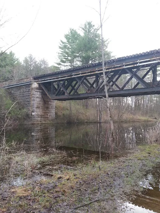 Ausable Pines Campground & RV Picture 3