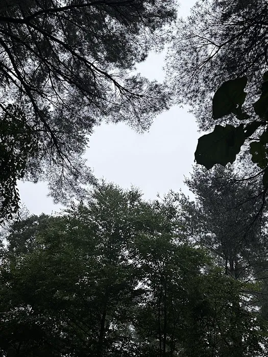 Wompatuck Campgrounds Picture 9