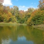 Sugar Ridge RV Village-Campground