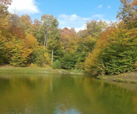 Sugar Ridge RV Village-Campground