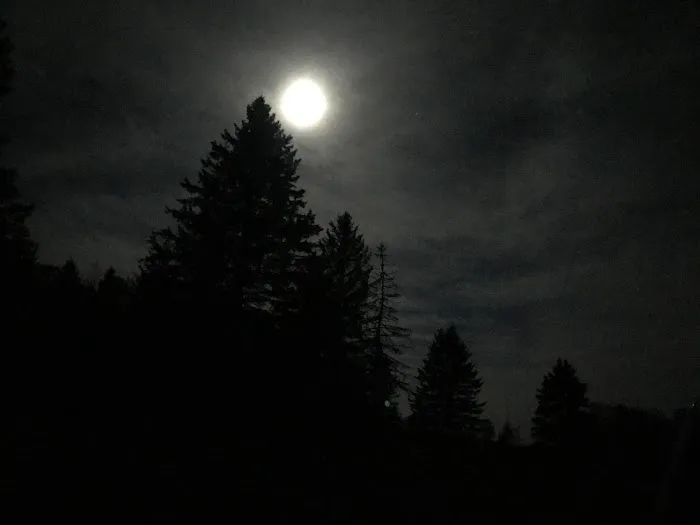 Vermont Freedom Campground Picture 4