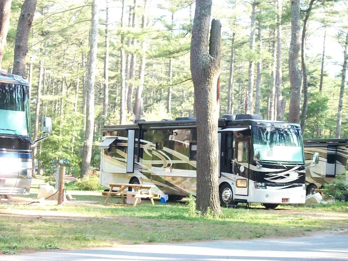 Pinewood Lodge Campground and Function Hall Picture 4