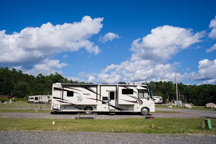 Yogi Bear's Jellystone Park Camp-Resort: Cranberry Acres in Carver, MA Picture 9
