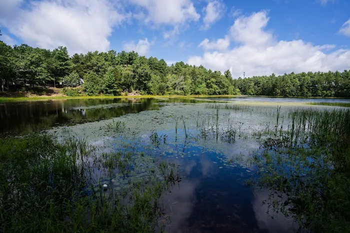 Yogi Bear's Jellystone Park Camp-Resort: Cranberry Acres in Carver, MA Picture 6