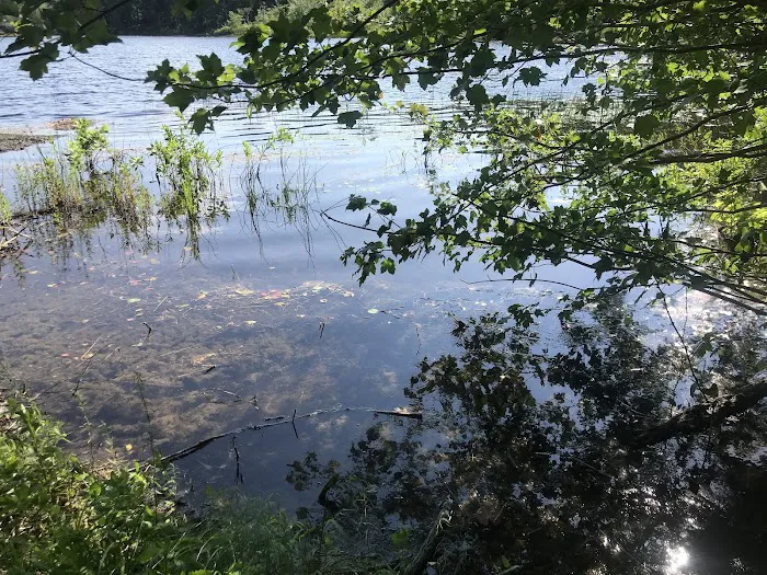 Ellis-Haven Campground Picture 1