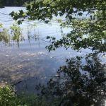 Ellis-Haven Campground