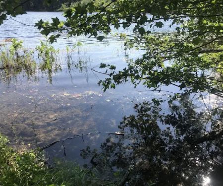 Ellis-Haven Campground