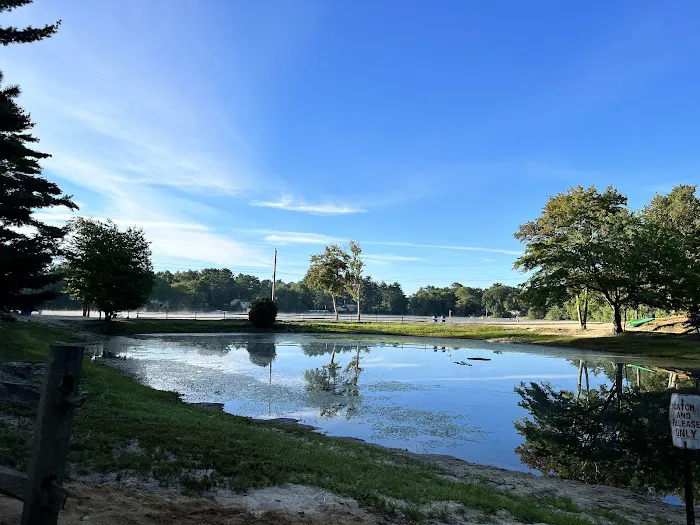 Ellis-Haven Campground Picture 2