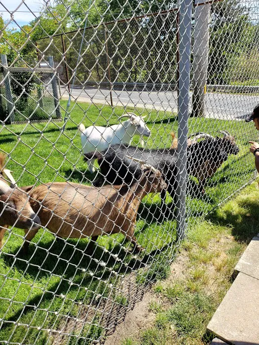 Ellis-Haven Campground Picture 6