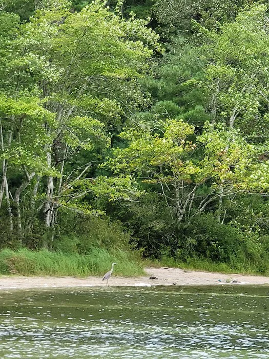 Blueberry Hill Campground Picture 3