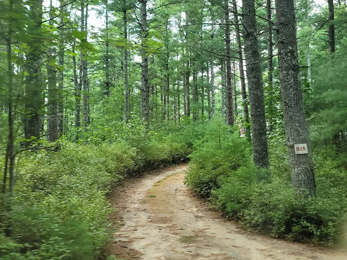 Blueberry Hill Campground Picture 1