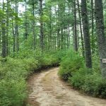 Blueberry Hill Campground