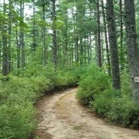 Blueberry Hill Campground ico