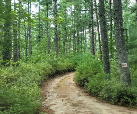 Blueberry Hill Campground