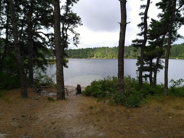 Curlew Pond campground Picture 6