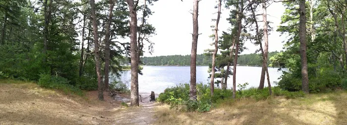 Curlew Pond campground Picture 5