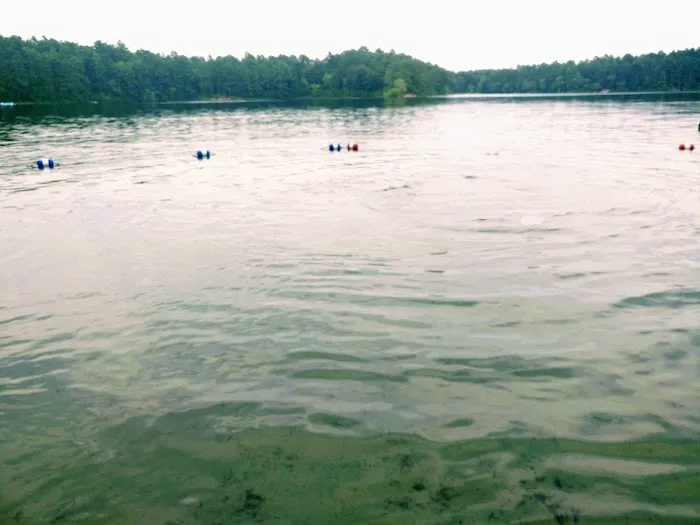 Curlew Pond campground Picture 1