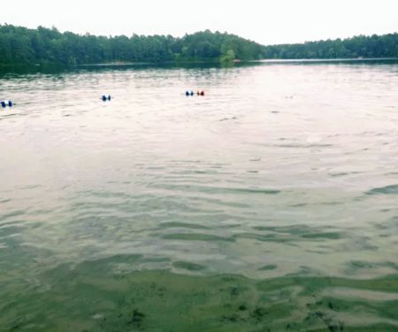 Curlew Pond campground