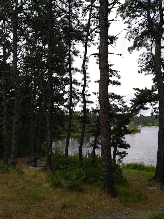 Curlew Pond campground Picture 7