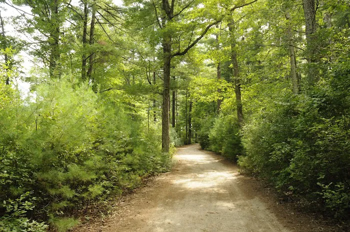 Myles Standish Camp Headquarter Picture 7