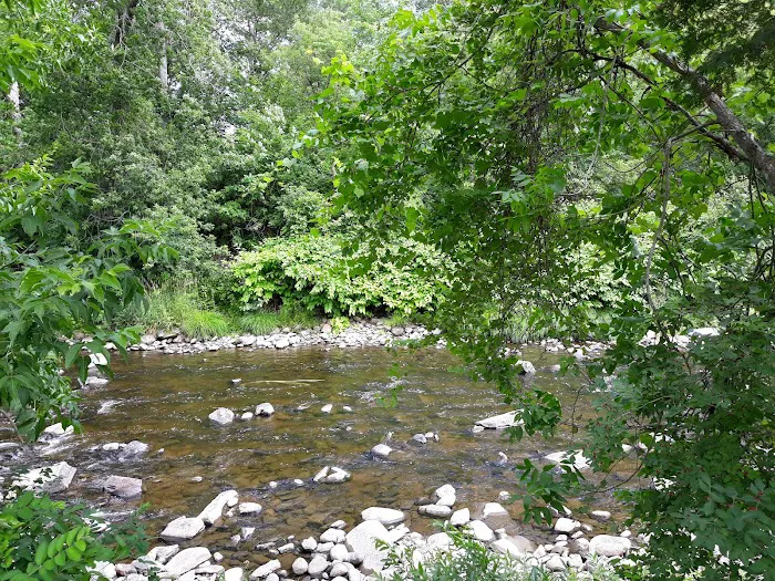 Moose River Campground Picture 7