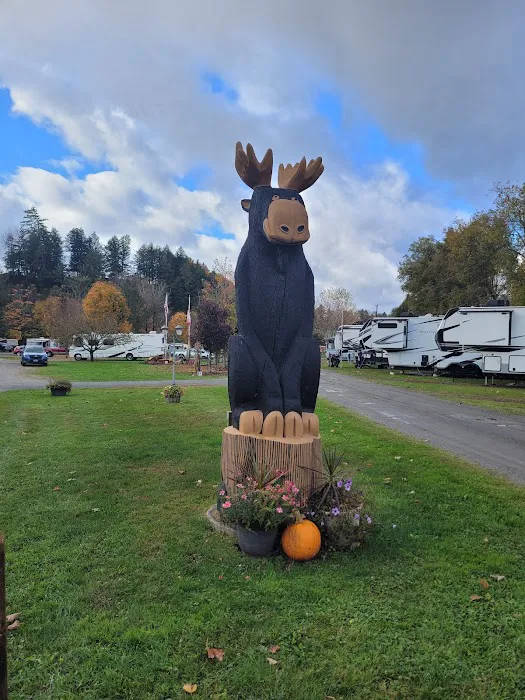 Moose River Campground Picture 5