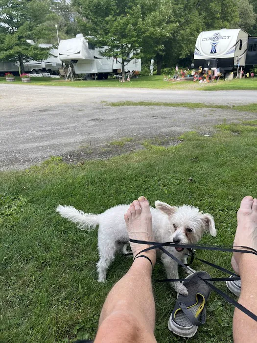 Moose River Campground Picture 10