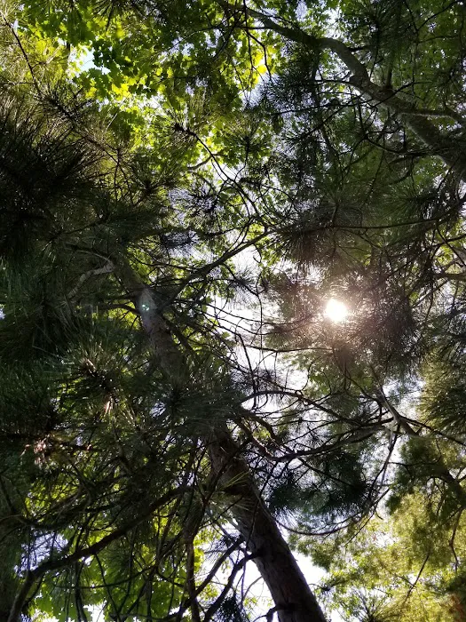 Sandy Island Family Camp Picture 7