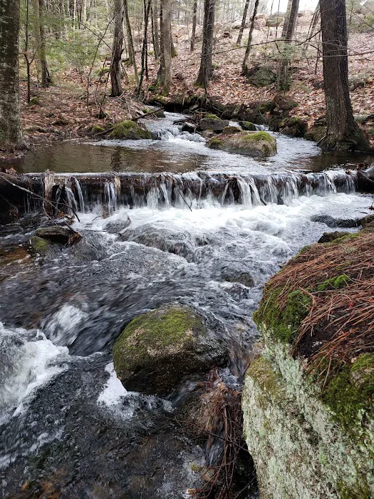 Camp Pride Picture 7