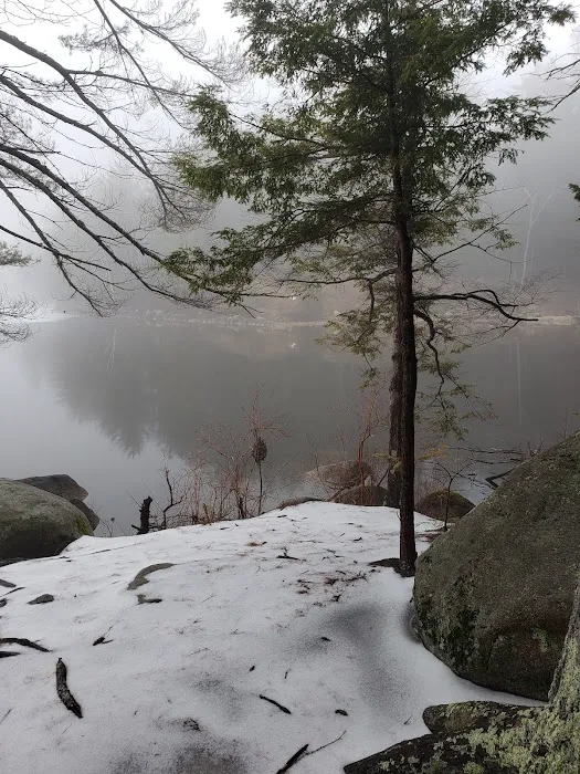 Camp Pride Picture 9