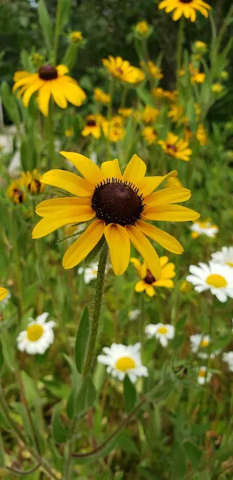 Camp Pride Picture 1