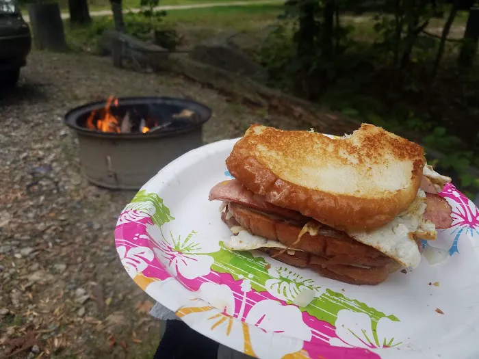 Bear's Pine Woods Campground & Resort Picture 1