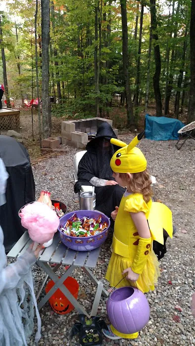 Bear's Pine Woods Campground & Resort Picture 10