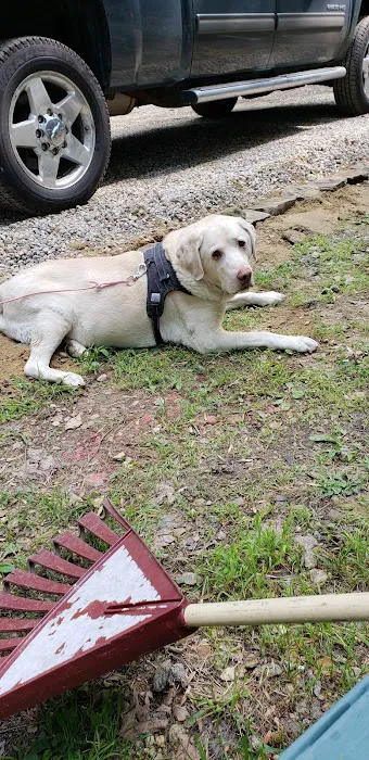 Bear's Pine Woods Campground & Resort Picture 4