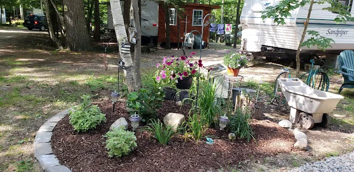 Bear's Pine Woods Campground & Resort Picture 8