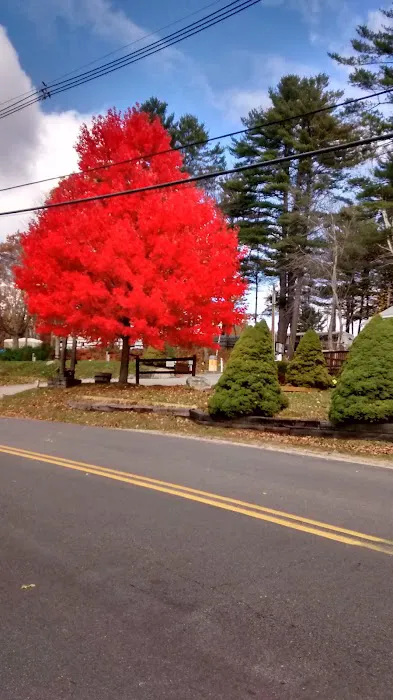 Long Island Bridge Campground Picture 9