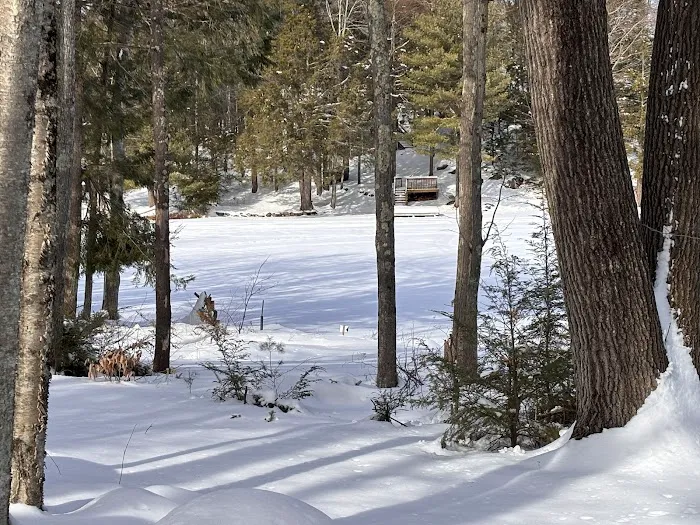 Baxter Lake Recreation Area Picture 4