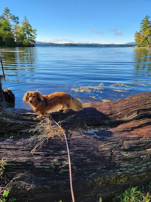 Robies RV Park Picture 5