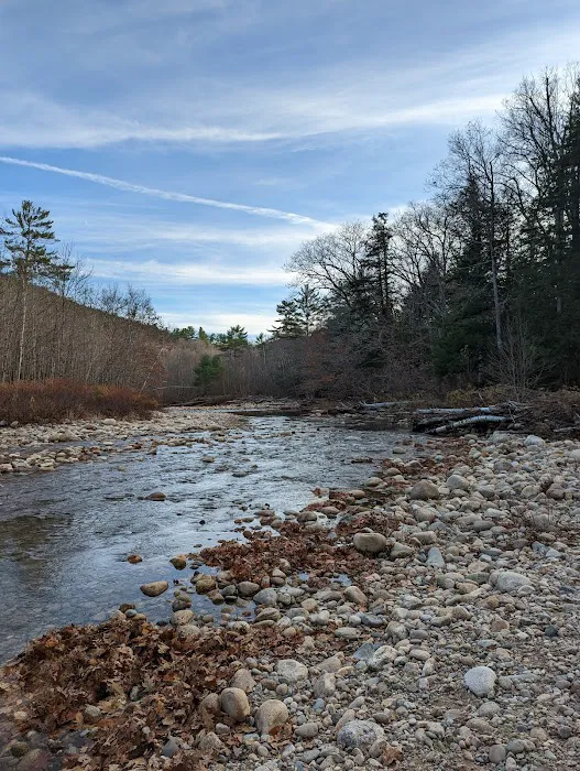 Campton Campground Picture 5