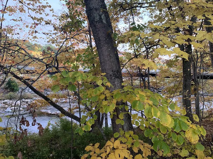 Goose Hollow Camp & RV Park Picture 9