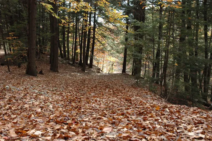 Lincoln / Woodstock KOA Holiday Picture 2