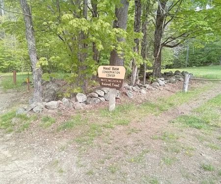 Mead Explorer Base Camp