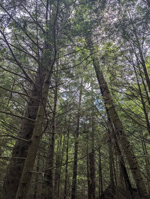 Tripoli camping Picture 2