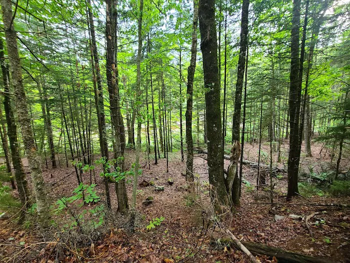 Waterville Campground Picture 3