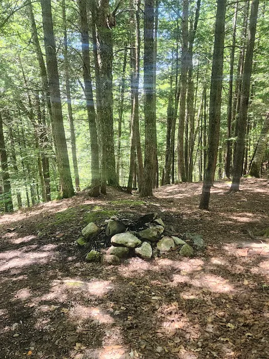 Tripoli Rd Camping Area Picture 6