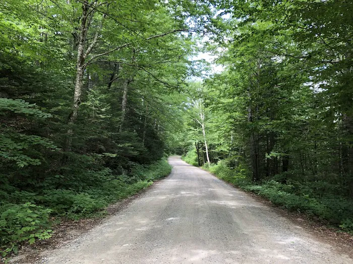 Tripoli Rd Camping Area Picture 10