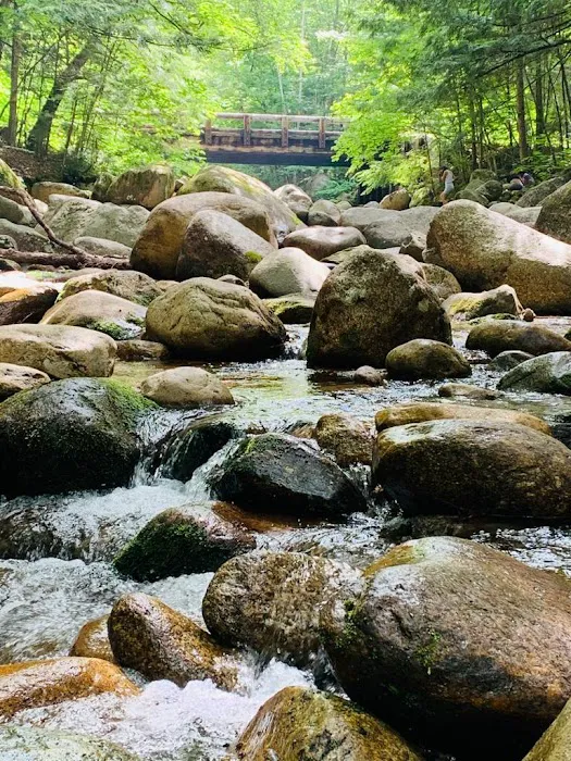 Tripoli Rd Camping Area Picture 3