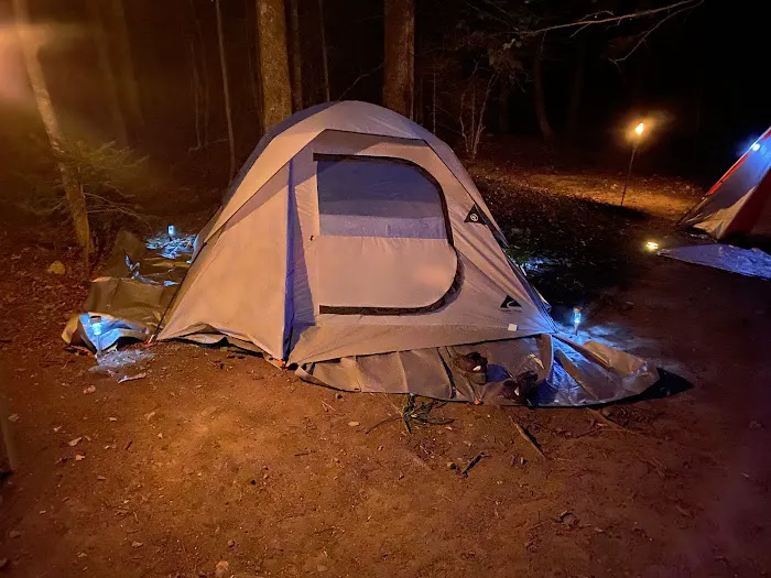 Tripoli Rd Camping Area Picture 4