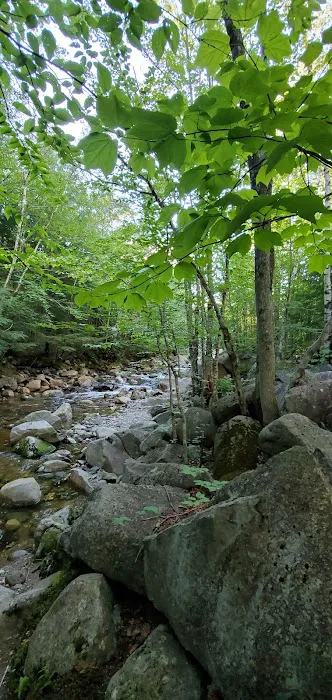 Lost River Valley Campground Picture 3