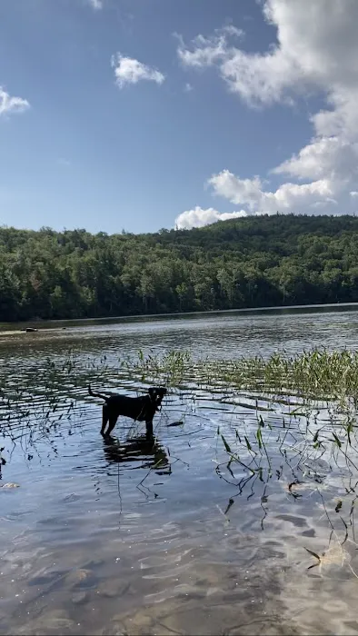 Russell Pond Campground Picture 1